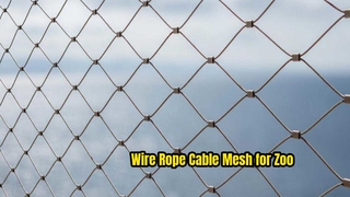 Paslanmaz çelik 316 hayvanat bahçesi kuş kafesi ağının uygulanması