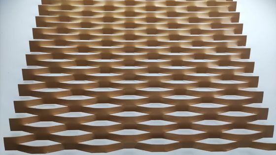 Bina Dekorasyonu için PVDF Alüminyum Genişletilmiş Metal Mesh Yaprak