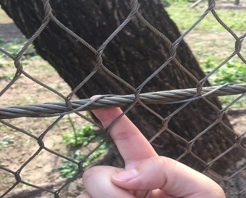 Siyah Oksidasyon Paslanmaz Çelik Tel Tel Ağı 50x50mm
