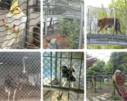 304 Paslanmaz Çelik Kablo Ağı, Hayvanat Bahçesi Kuşsalı için Siyah Oksidasyon