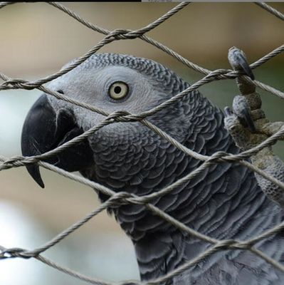 Özel Elden Dokunmuş Paslanmaz Çelik Tel Tel Ağı Anti Düşme Ağı