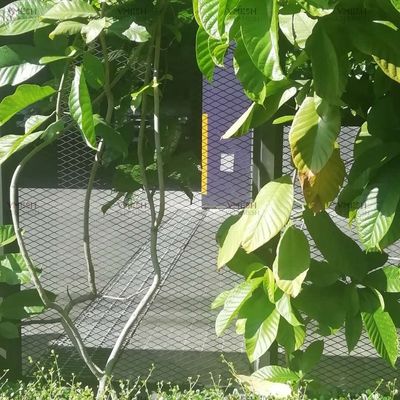Yürüyüş Yolu için Özelleştirilmiş Çelik Altıgen Genişletilmiş Hasır Galvanizli Genişletilmiş Plaka Mesh