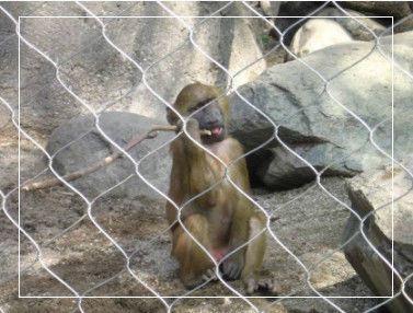 Paslanmaz Çelik Düğümlü Tel Halat Örgüsü 1mm-3mm Hayvanat Bahçesi ve Dekorasyon İçin