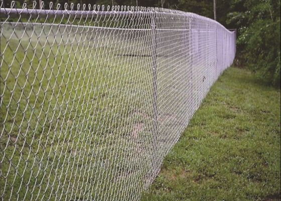 Sıcak Dip Galvanize Zincir Bağ Çit 6ft 8ft 30m 50m Roll