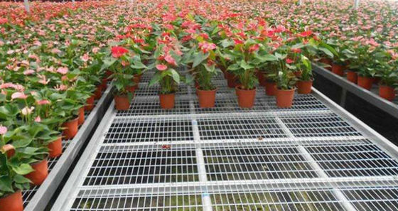 50x50mm Galvanizli Kaynaklı Tel Örgü Paneller 3mm Kalınlık