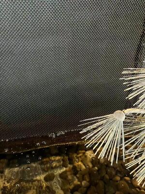 Şelale Duvar Örgüsü İçin Paslanmaz Çelik Dekoratif Bobin Perdesi