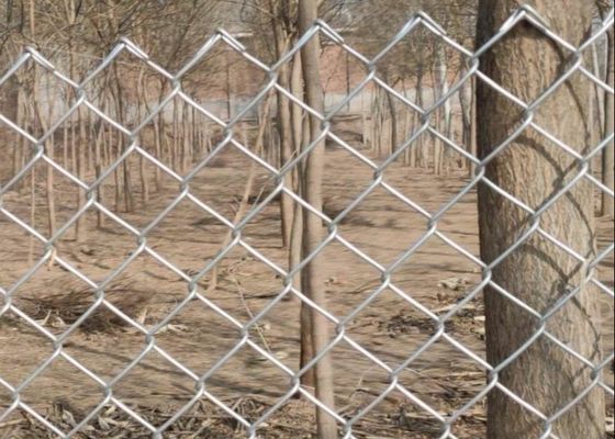 6 Ft X 50 Ft 4.8mm Galvanizli Zincir Bağlantı Çiti Elmas Delik